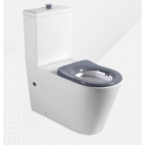 Care Toilet