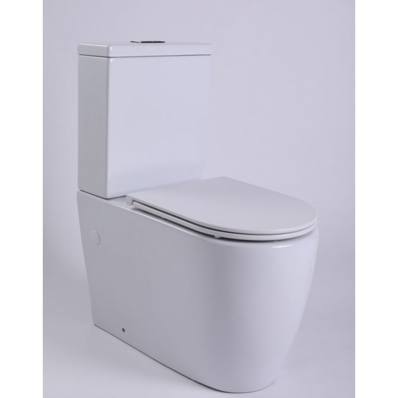 RICARDO Rimless Back to Wall Toilet